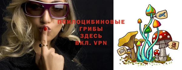 эйфоретик Аркадак