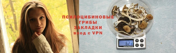 бошки Арсеньев