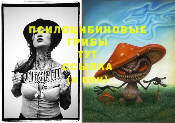 бошки Арсеньев