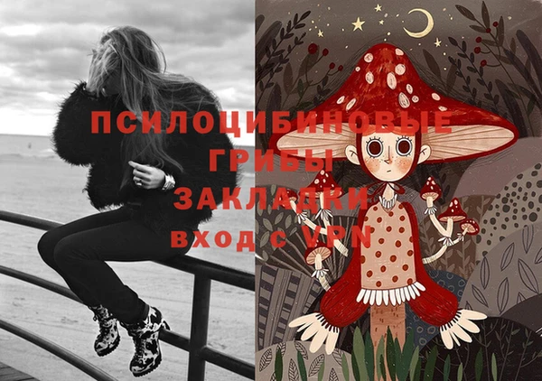 apvp Навашино