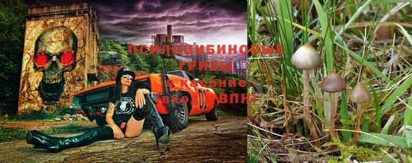 не бодяженный Армянск