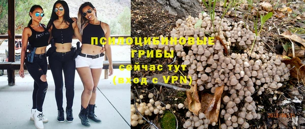 бошки Арсеньев