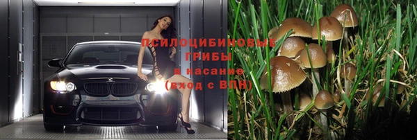 не бодяженный Армянск