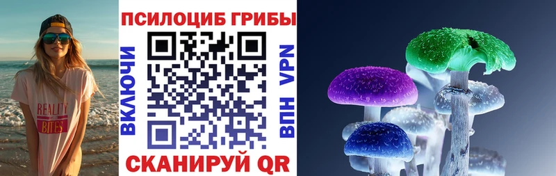 Галлюциногенные грибы прущие грибы Спасск-Рязанский
